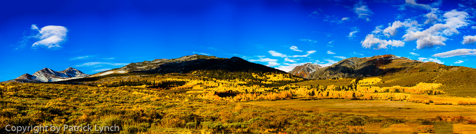 Sierra Fall Colors